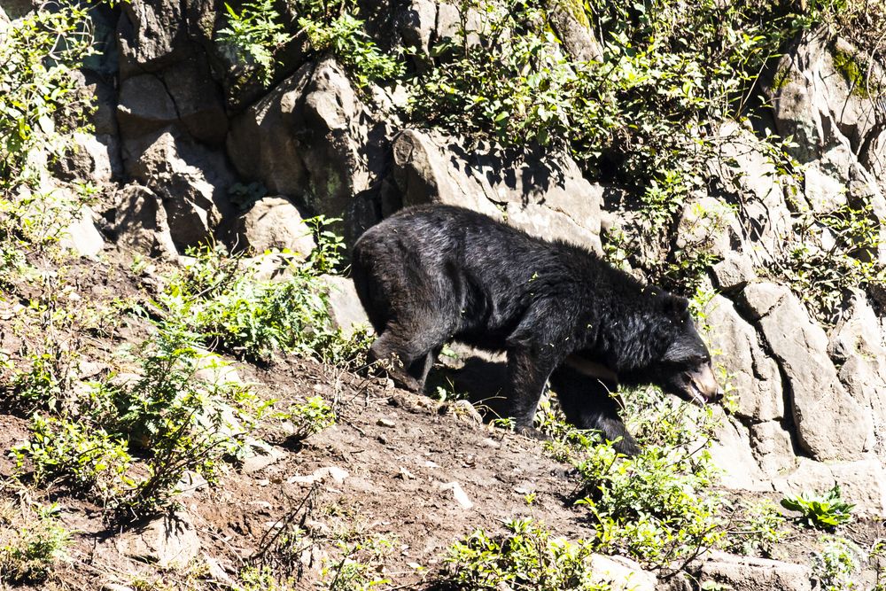 Photograph by Sergey Tsubanov