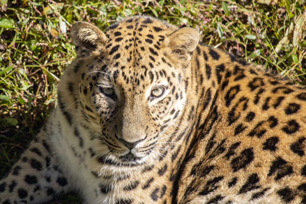 Photograph by Sergey Tsubanov