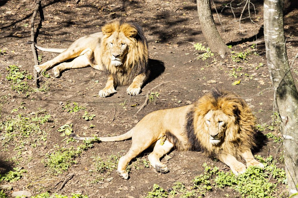 Photograph by Sergey Tsubanov