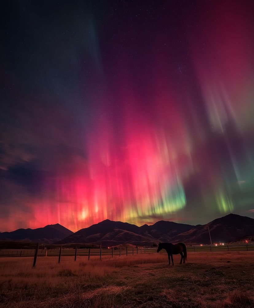 Photograph by HOANG HUY LUU