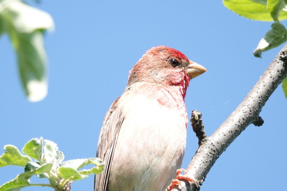 Photograph by Zakharov Matvey