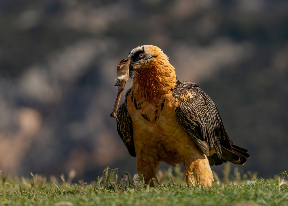 Фотография автора Дорн Оксана
