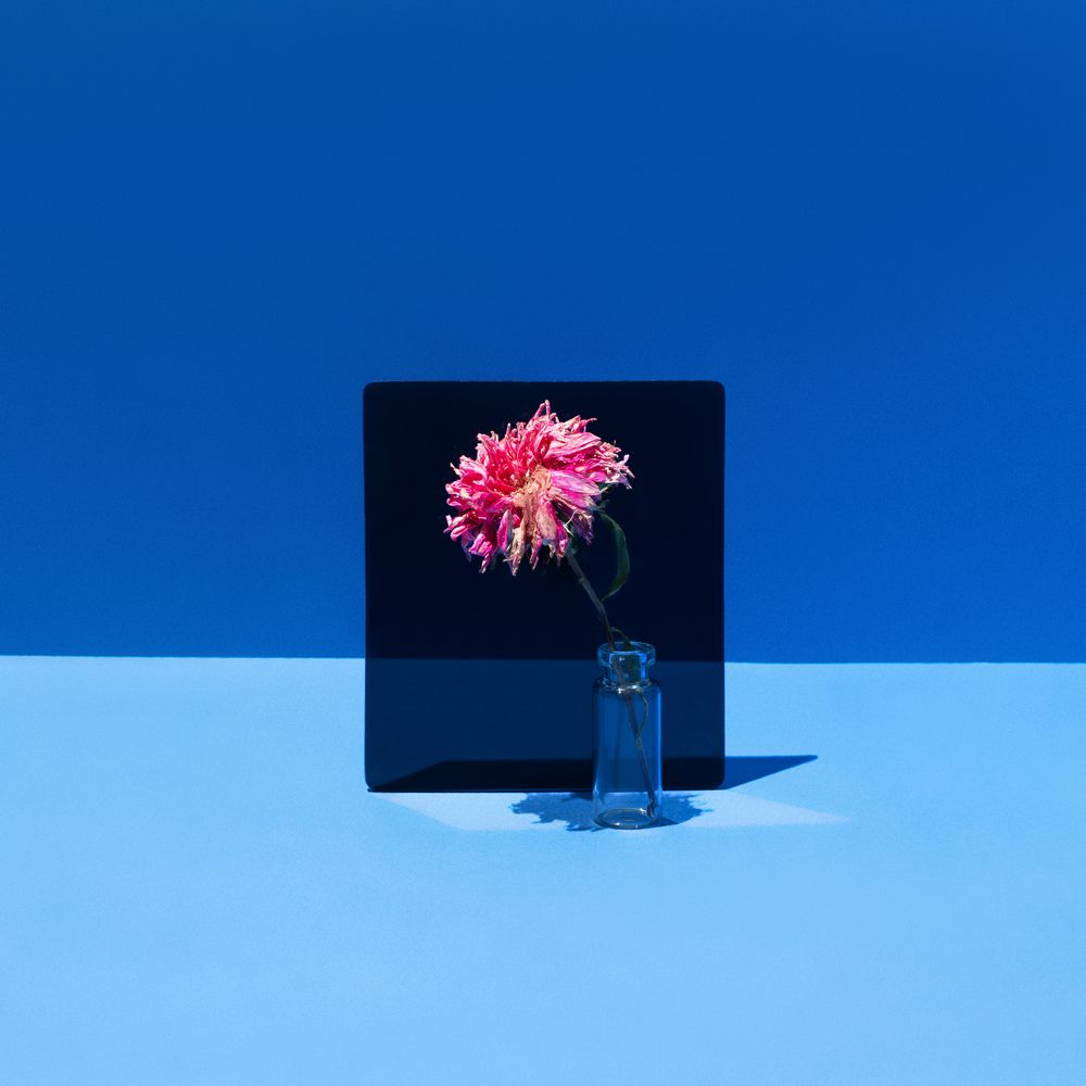 Photograph by Nikita