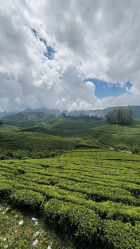 Photograph by ASEEM K H