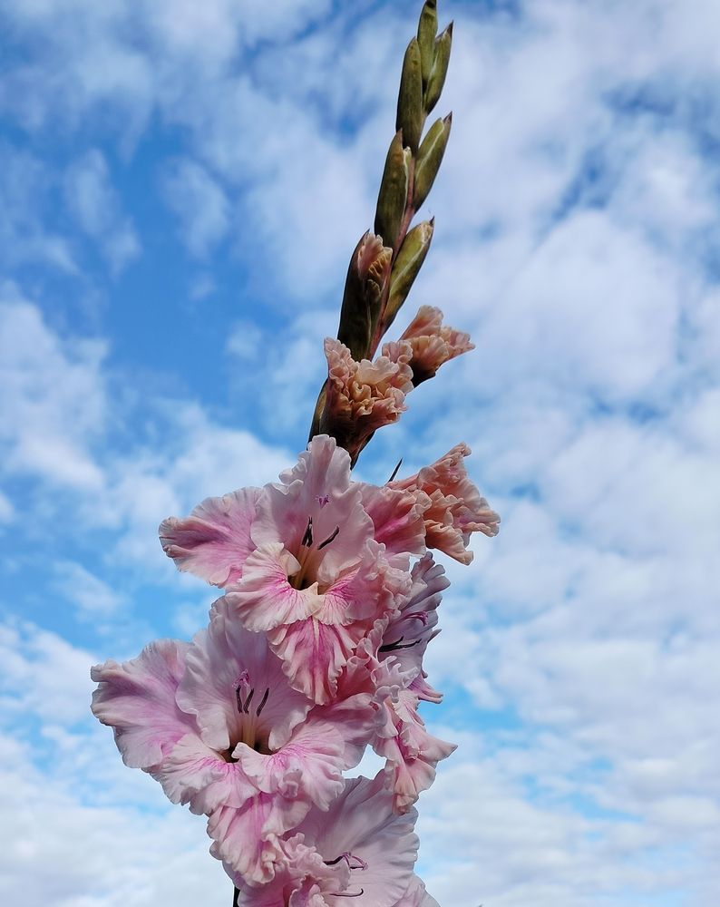 Photograph by Анастасия Горбачева