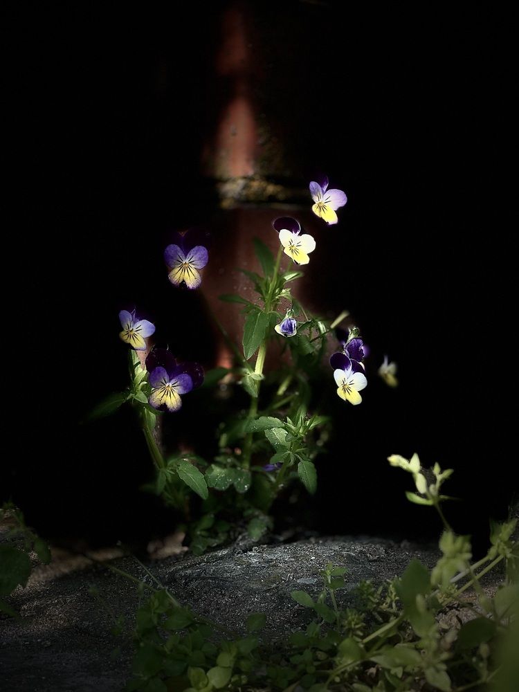 Photograph by Лина Муравьева
