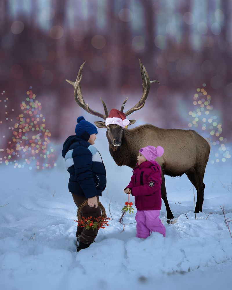 Photograph by Meilleurs Moments