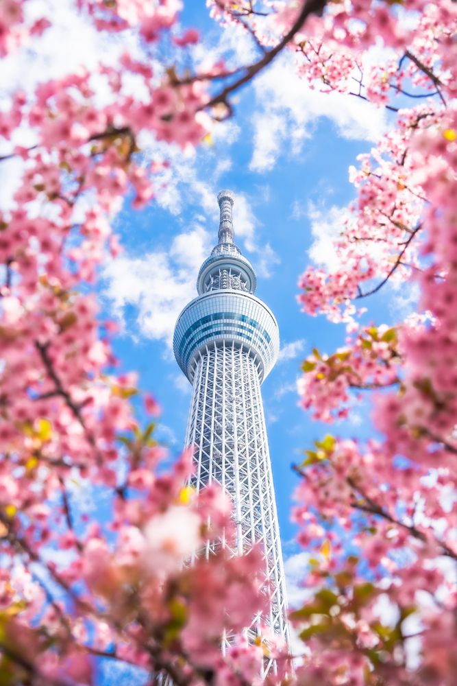 Photograph by TamaU TamaU