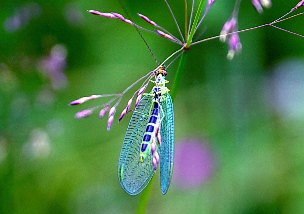 Photograph by Галина Кан