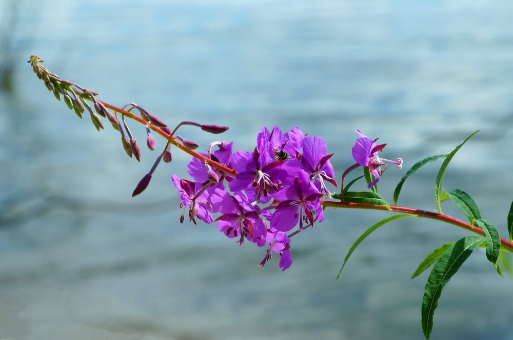 Photograph by Галина Кан