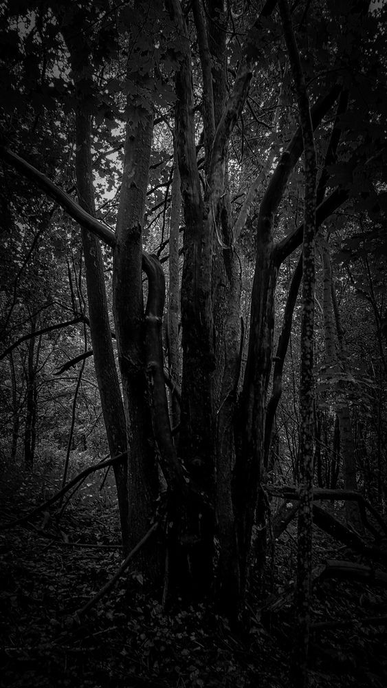 Photograph by Сергей Швецов