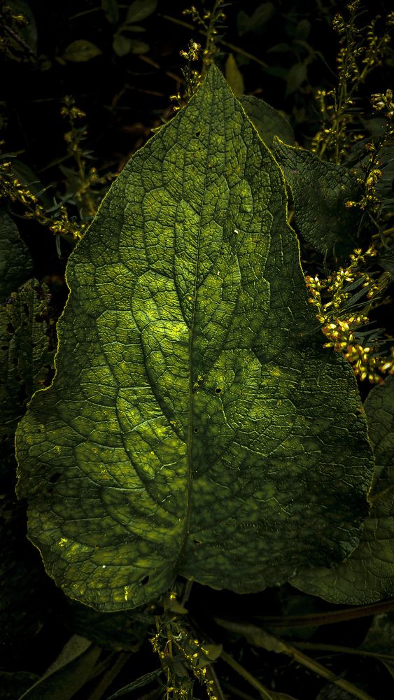 Photograph by Сергей Швецов