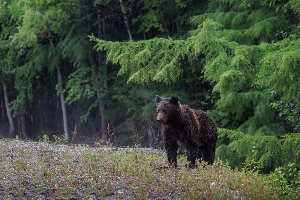 Photograph by Зарышнюк Роман