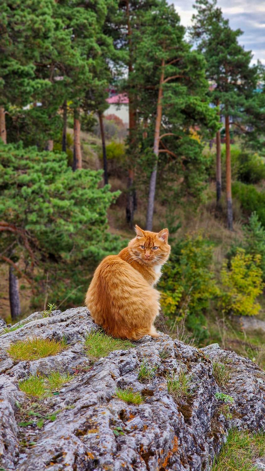 Фотография #12845229