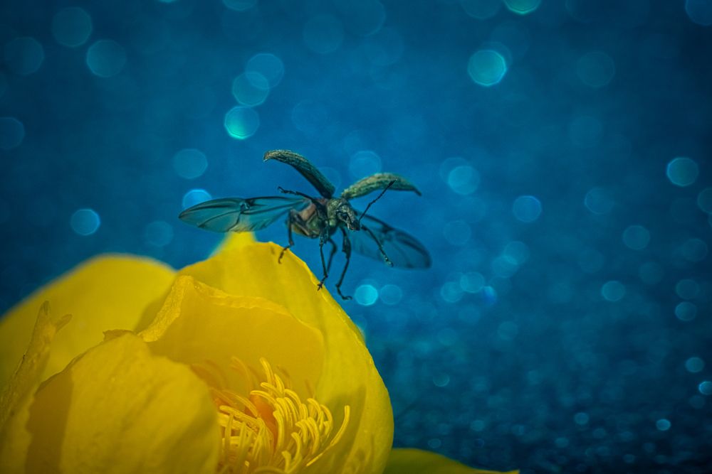 Photograph by Николай Фонарёв