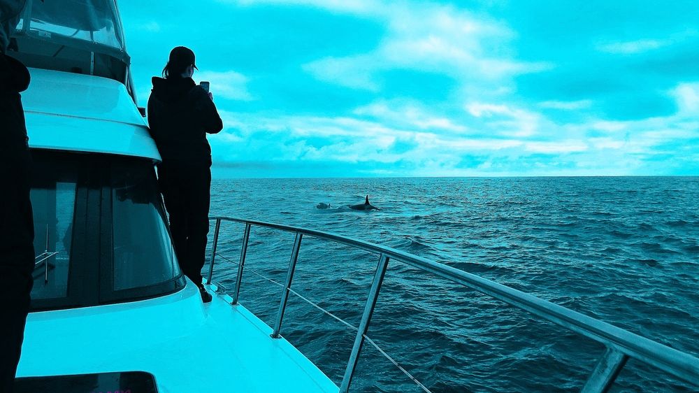 Photograph by Фартушняк Сергей