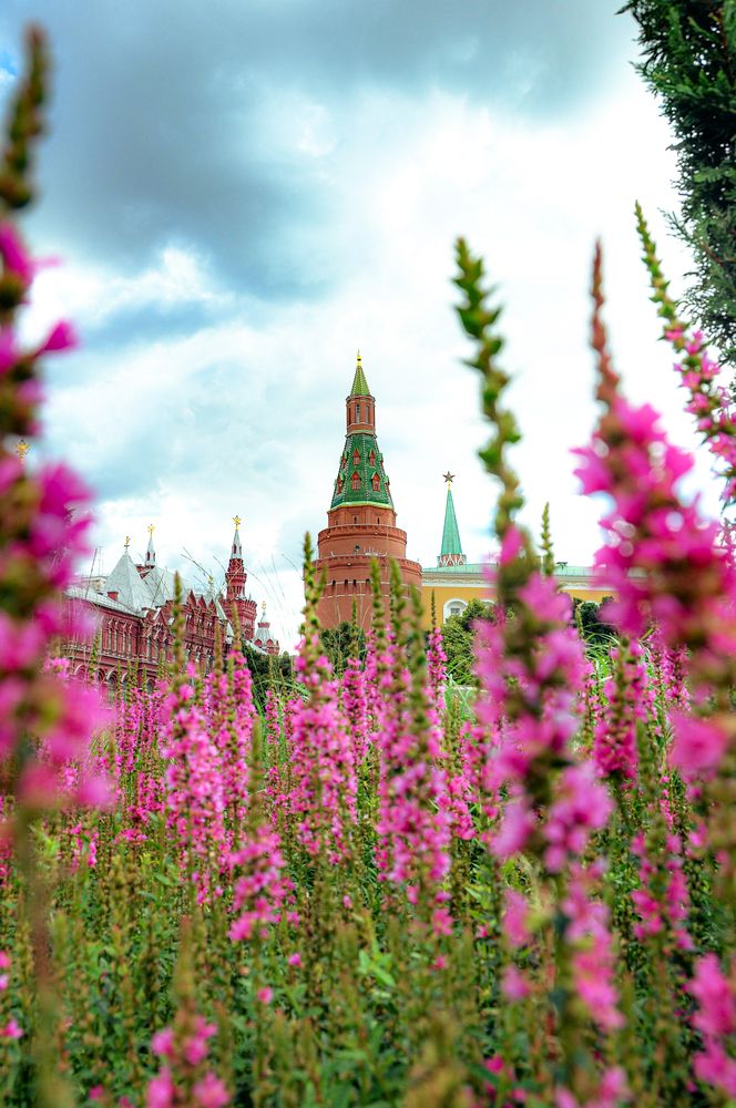 Фотография автора Елизавета Синицына