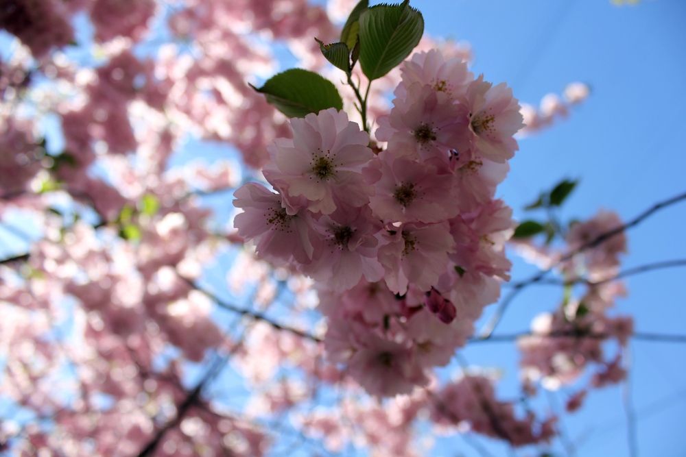 Photograph by Olga Bagaeva