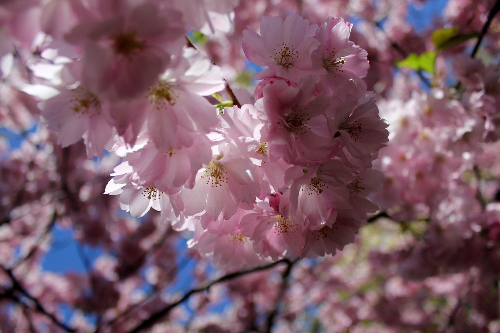 Photograph by Olga Bagaeva