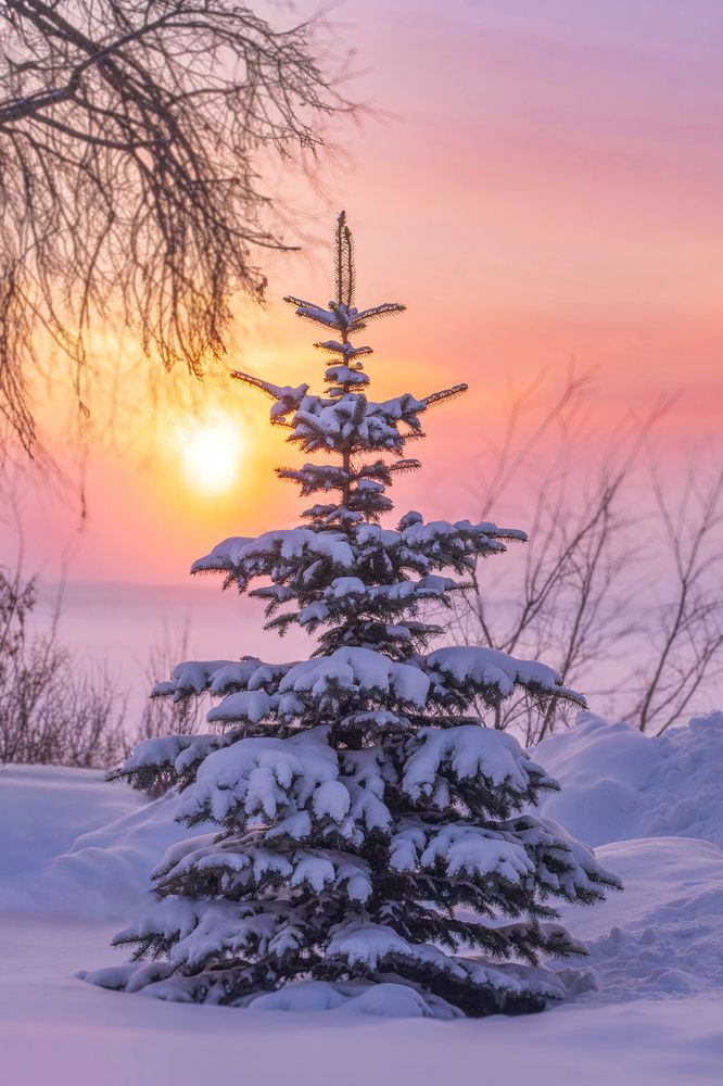 Photograph by Наталья Максимова