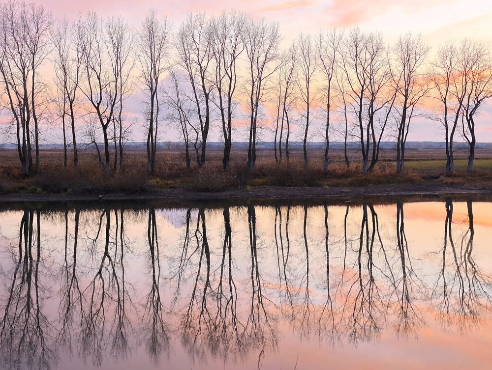 Photograph by Серёга Ануфриев