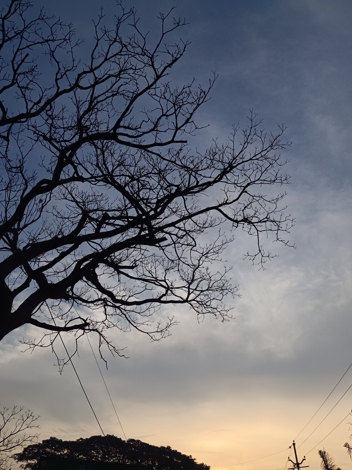 Photo #12845535