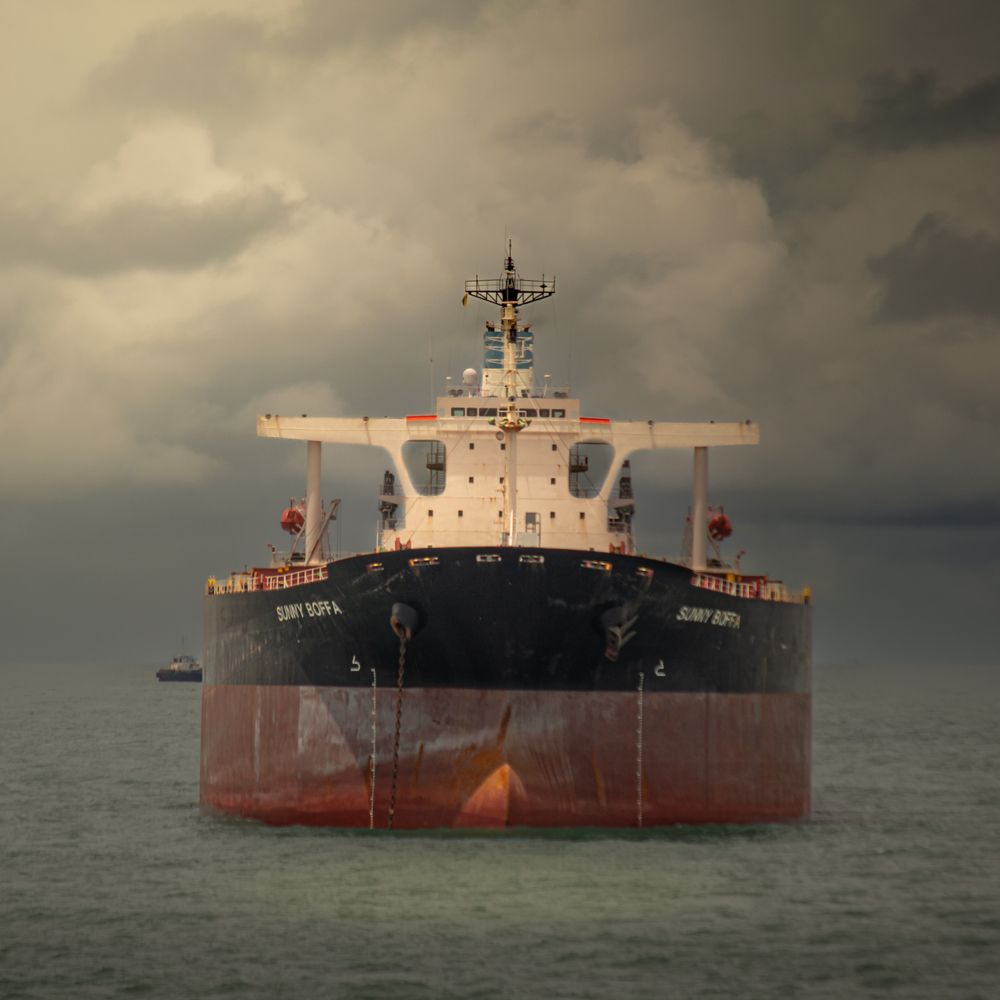 Bulker \"SUNNY BOFA\"