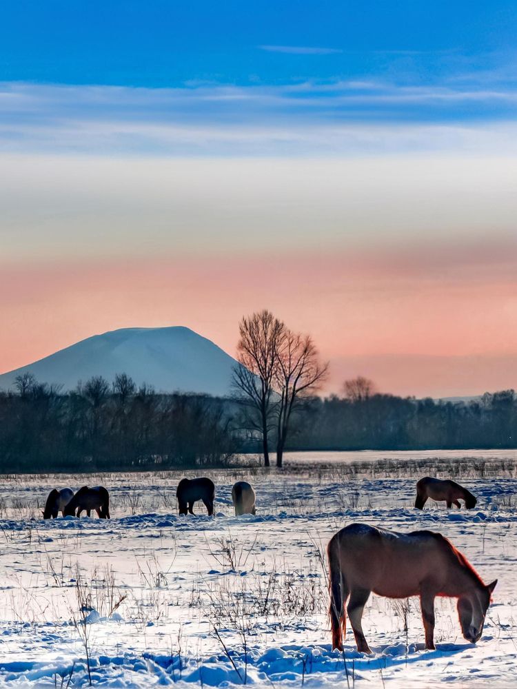 Photograph by Людмила Баймухаметова