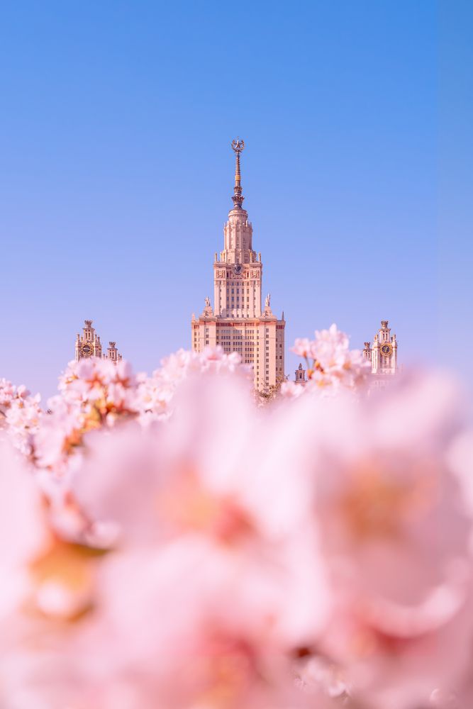 Photograph by Мазурева Анастасия