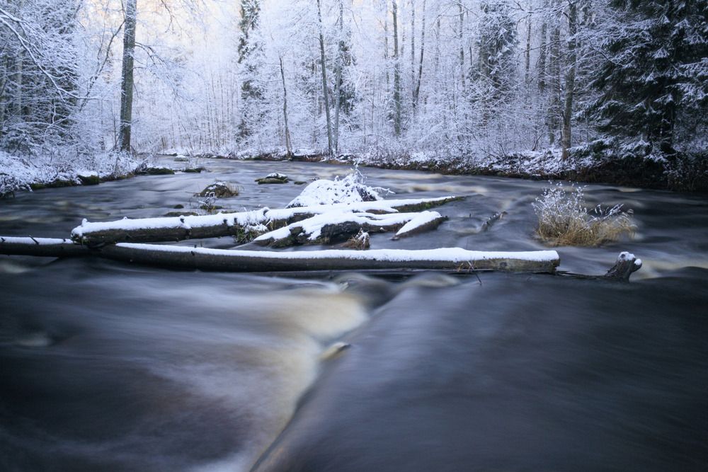 Река Рощинка в Линдуловской роще