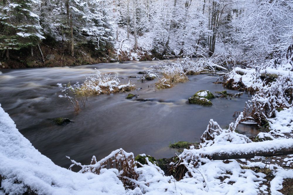 Река Рощинка в Линдуловской роще