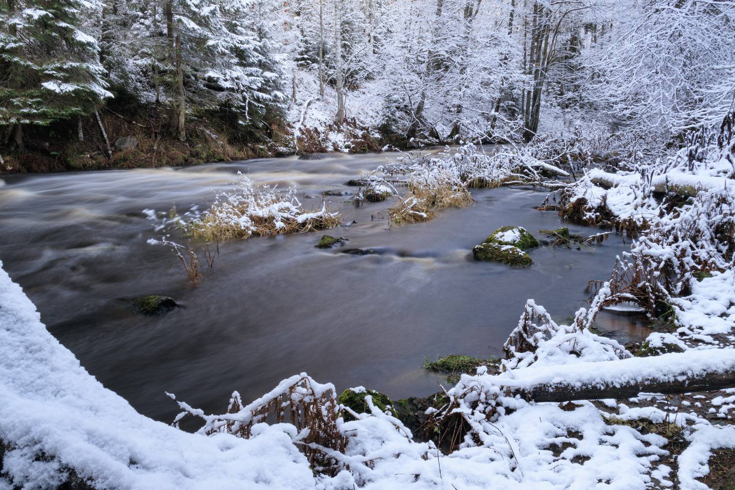Река Рощинка в Линдуловской роще