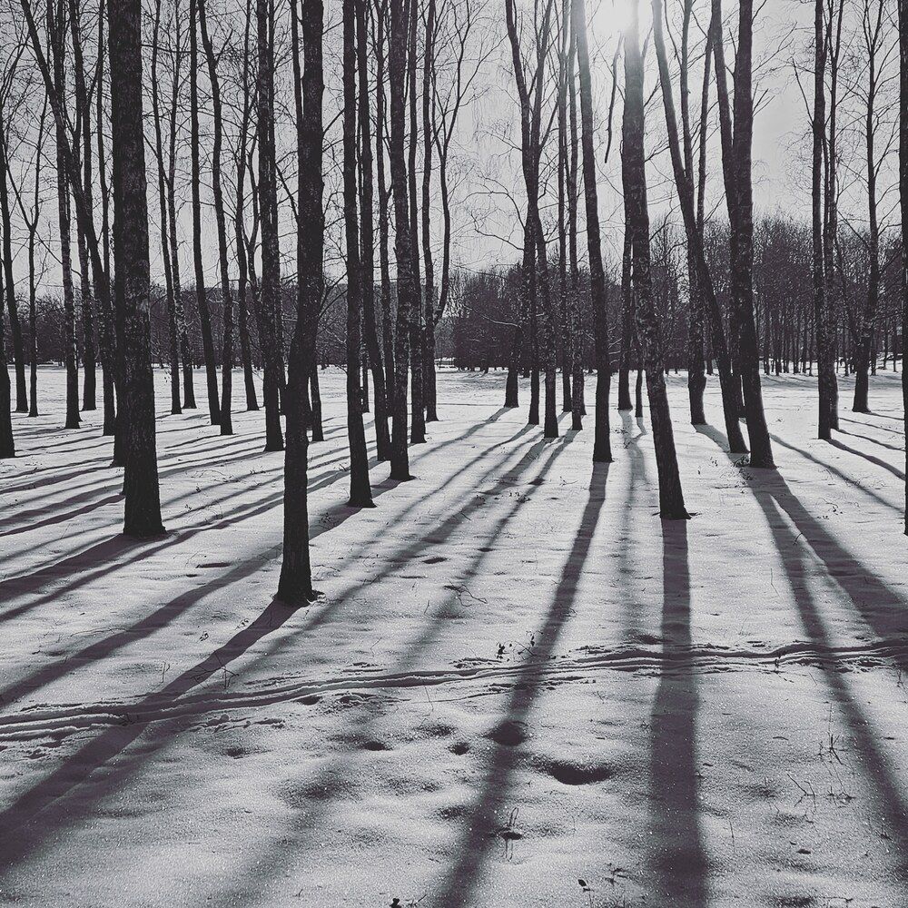 Photograph by Елена