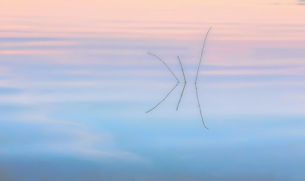 Фотография автора Александр