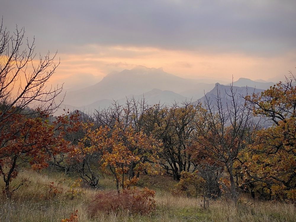 Фотография автора Ярослав Качура
