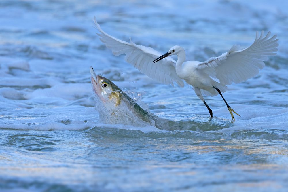 Survive In The Crack