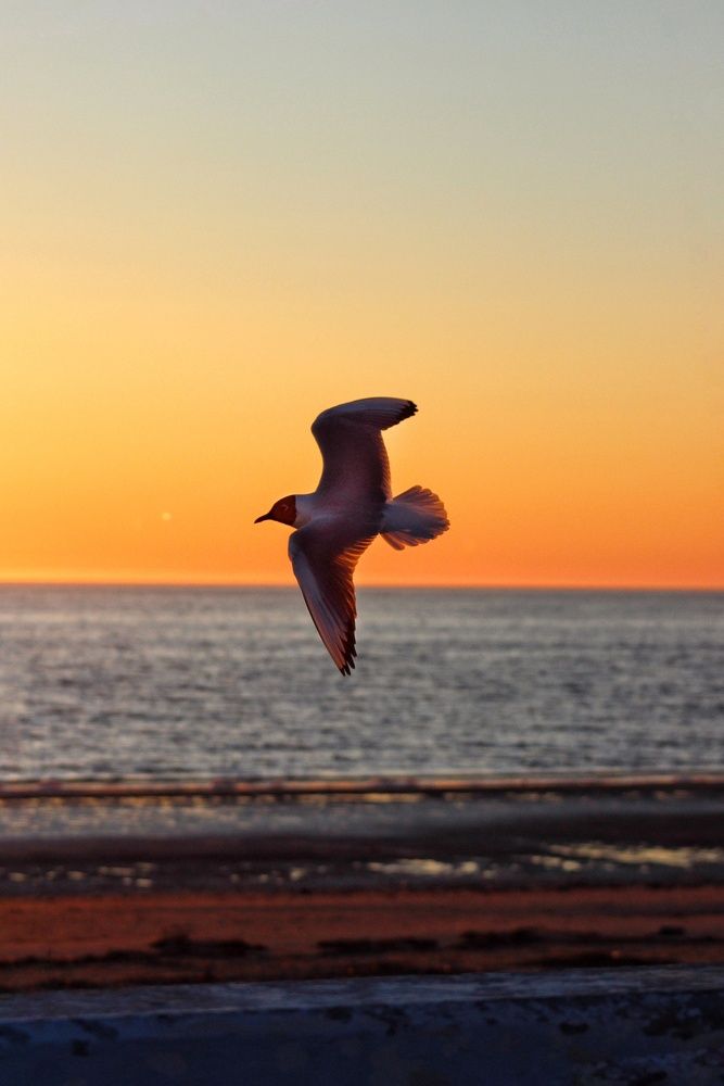 Photograph by Любовь Кимирина