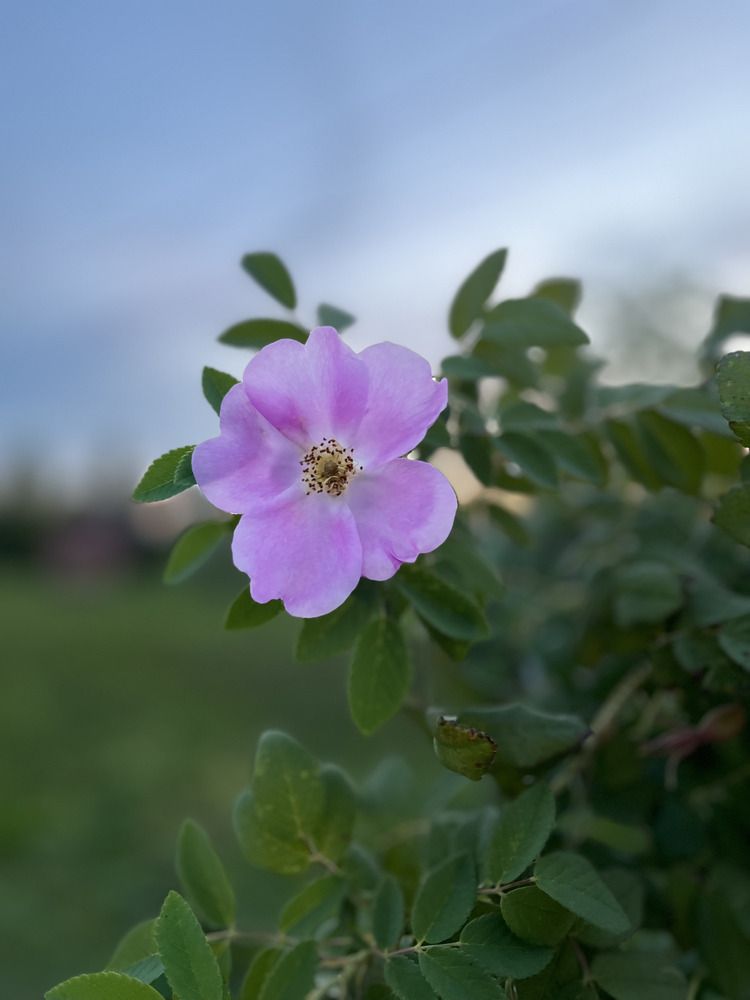 Photograph by Ирина Селиверстова