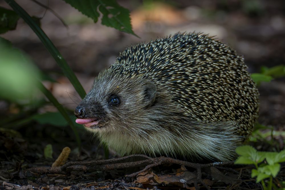Photograph by Владимир Зайцев