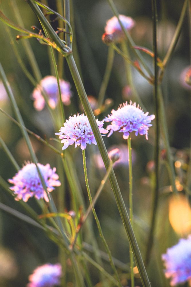 Photograph by Христина Сергейчик