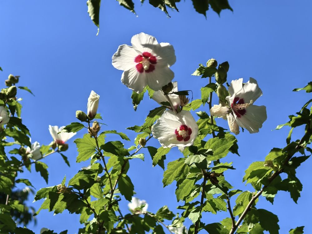 Photograph by Елизавета Зыкова