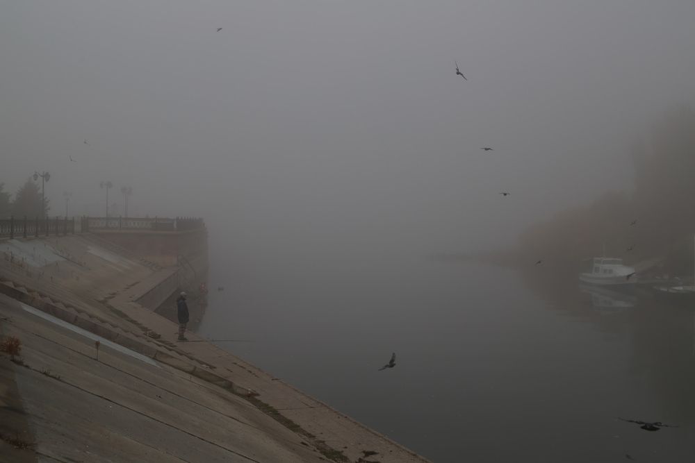 Photograph by Дарья Юсарева