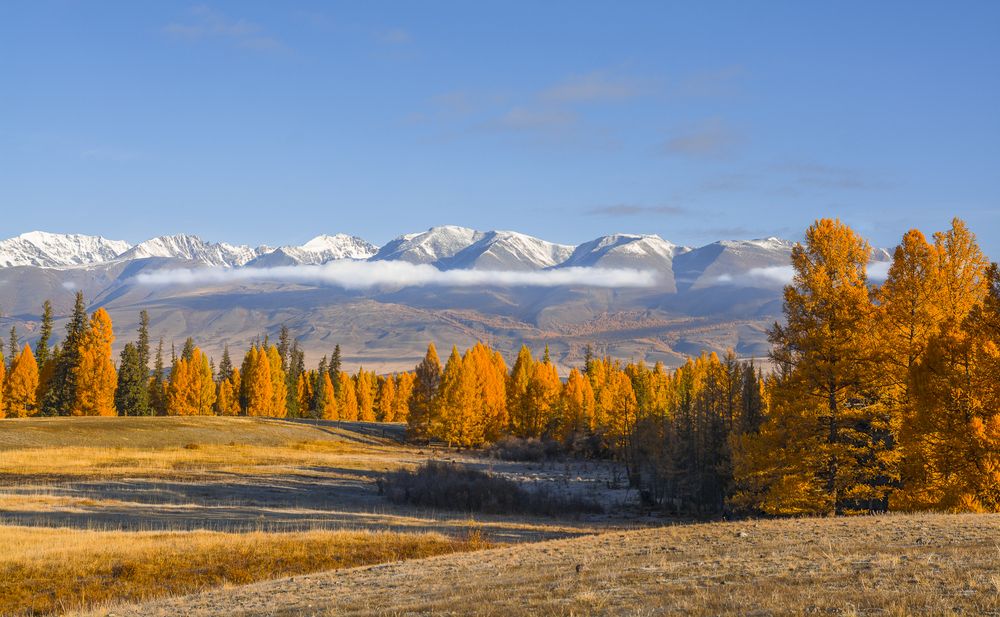Осень на Алтае