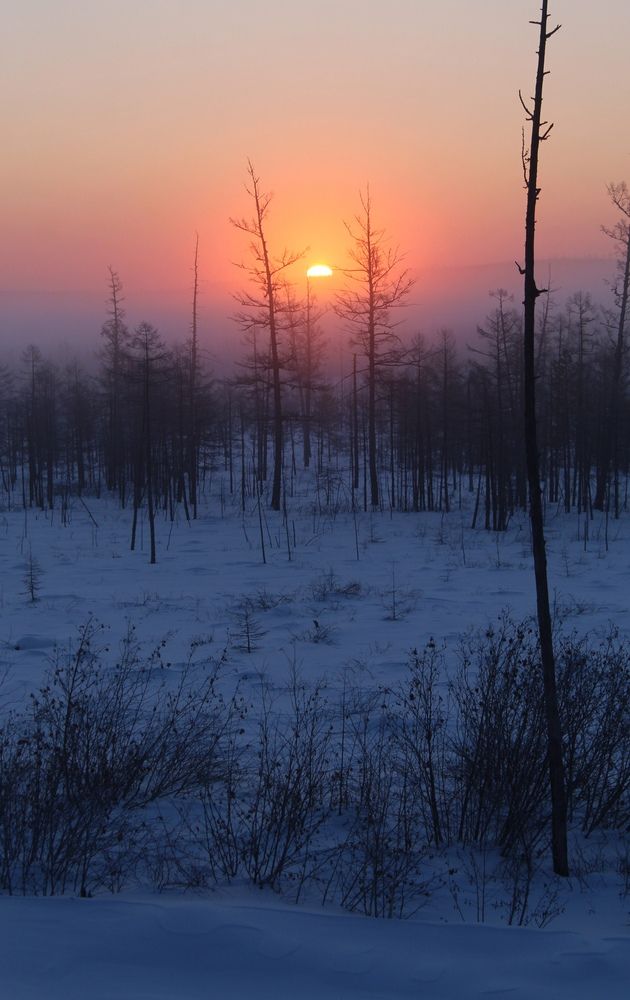 Photograph by Михаил Мархинин