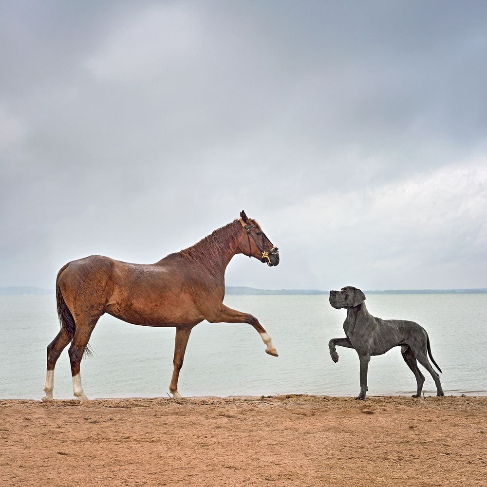 Photograph by Наталия Евмененко