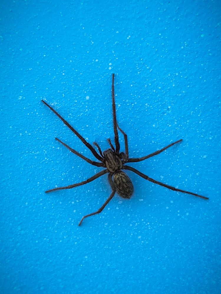 Фотография автора Татьяна Мишкина