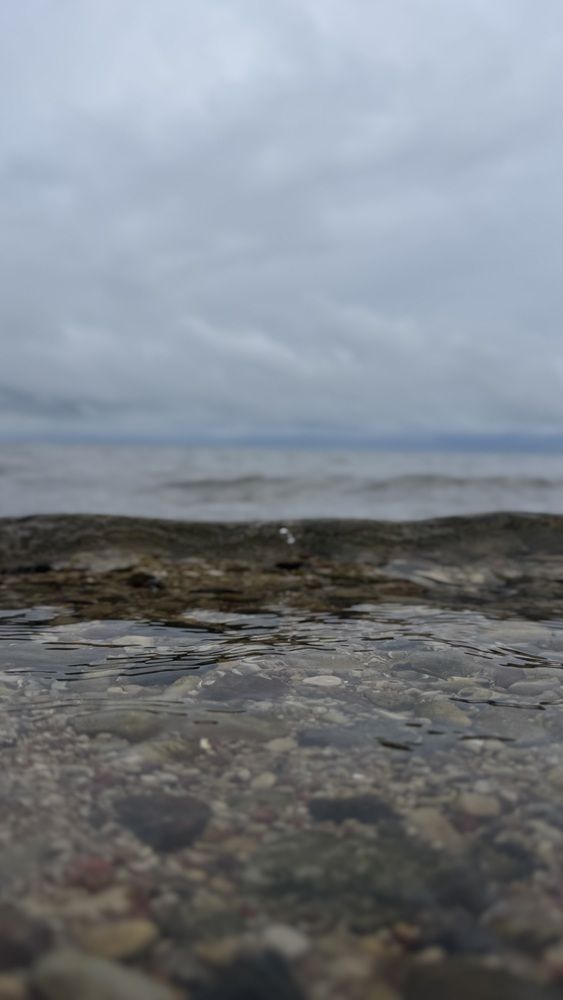 Sea