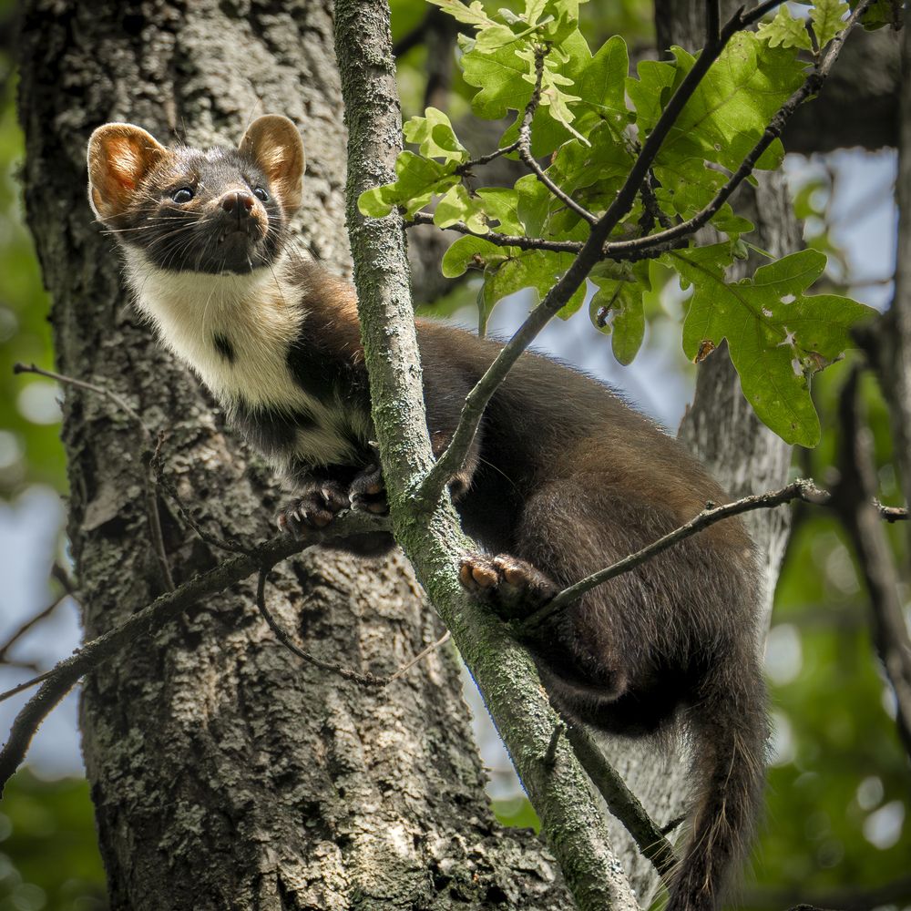 Photograph by Владимир Зайцев