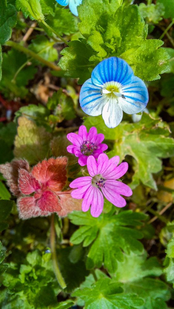 Photograph by Александра Ельникова