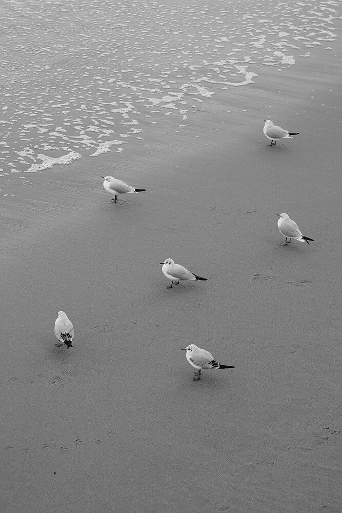 Photograph by Шеин андрей